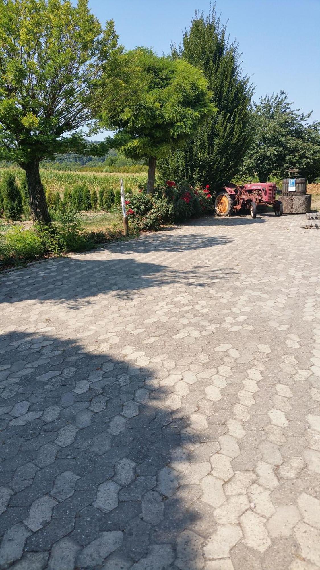 Ferienwohnung Rombachs Spatzennest Herbolzheim Luaran gambar