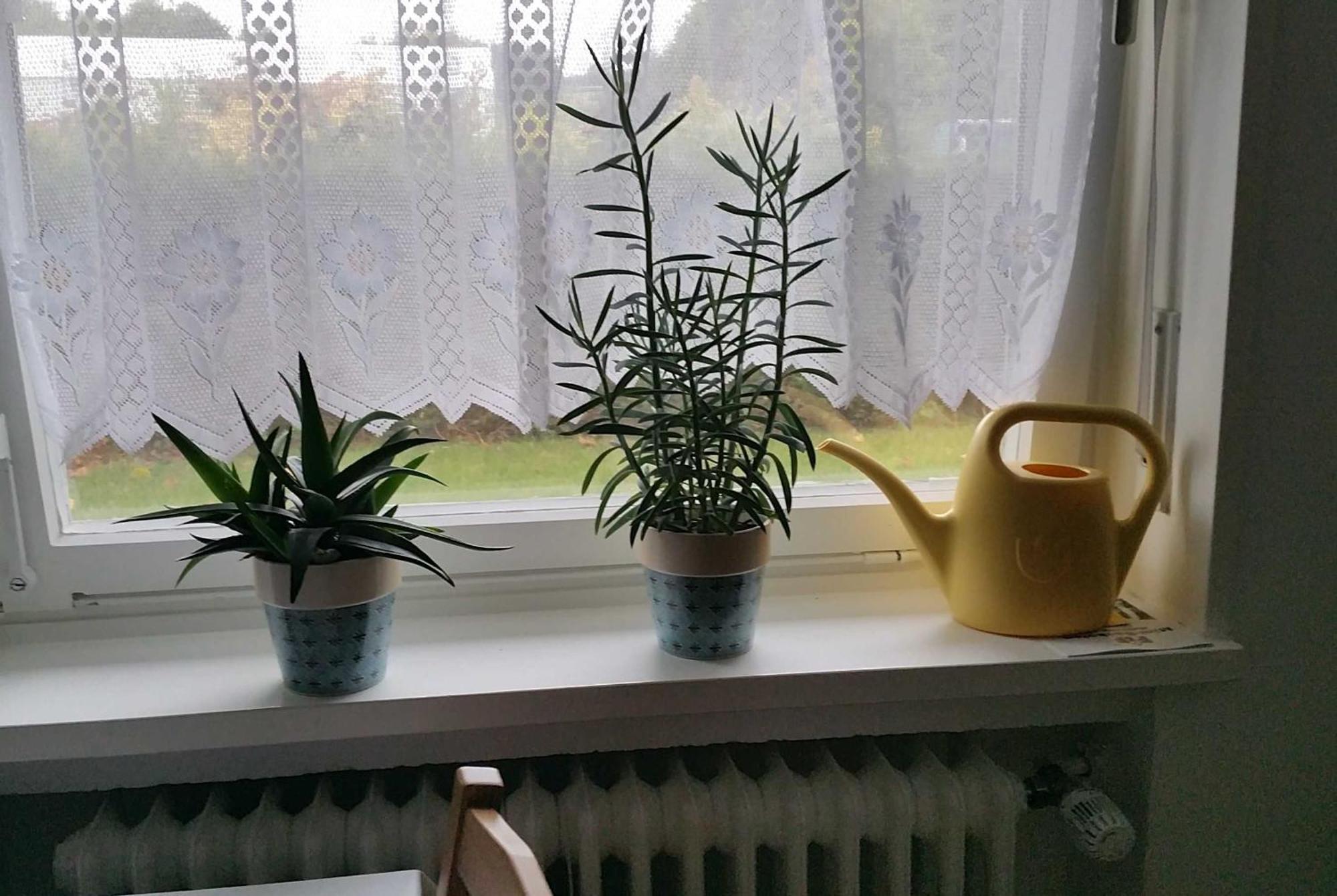 Ferienwohnung Rombachs Spatzennest Herbolzheim Luaran gambar